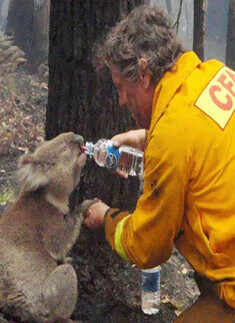 Best pictures on social media