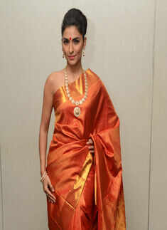 Karun Raman's pre-diwali party