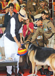 BSF's 49th Raising Day