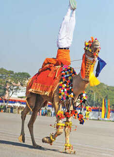 BSF's 49th Raising Day