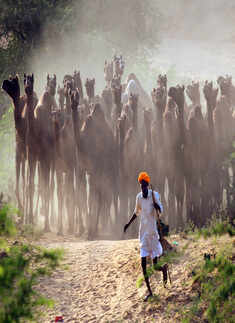 Best pictures of 2014