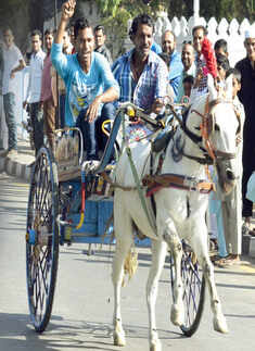 Bhoj Adventure Fest in Bhopal