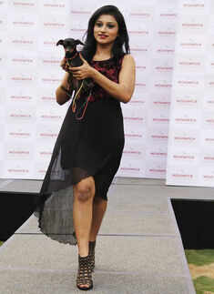 A fashion show for furry friends