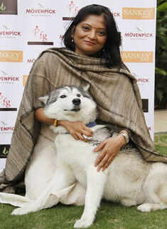 A fashion show for furry friends