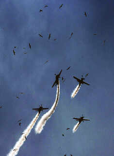 Best pictures of the day