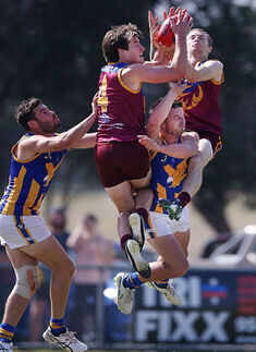 Best Pictures of the day