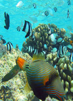 25 Places You Must Visit Before They Disappear