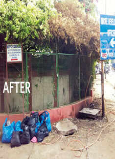 All for healthy living