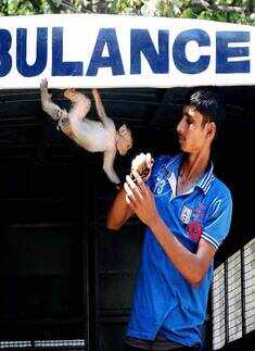 Best Pics of the day