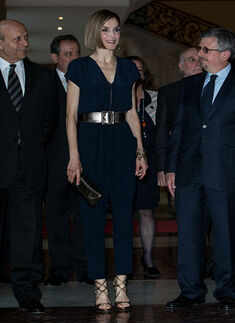 Queen Letizia @ awards ceremony
