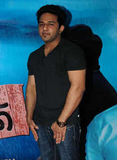 Chandi Park: Audio Launch