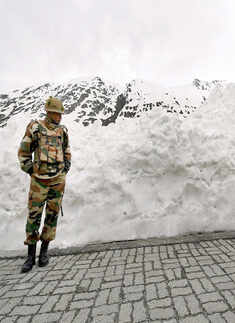 Picture package of the day