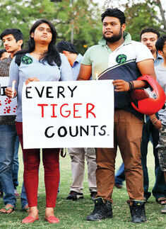 Animal activists come out in support of T24 Photogallery - Times of India