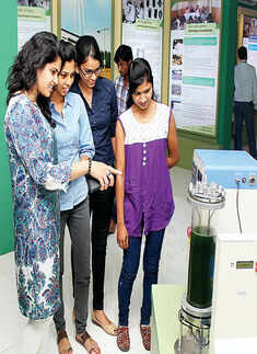 World Environment Day