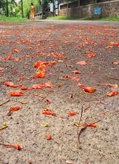 The monsoon clouds hovering in the sky