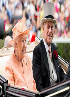 Picture package of the day