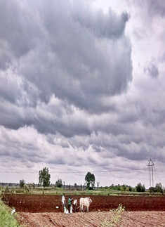 A picture take near Marathwada