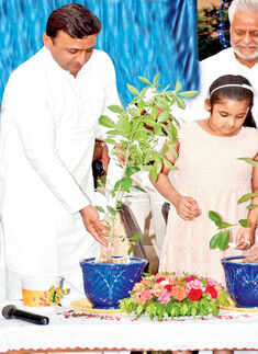School organises Green Drive