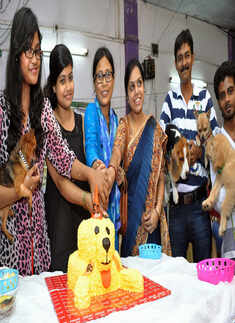 City's dog lovers cutting the cake
