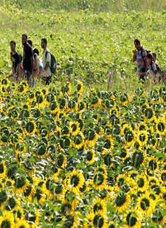Immigrants and refugees approach the Greece Macedonian border
