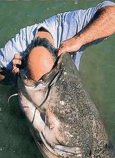 Weird Peeps And Their Weird Theories