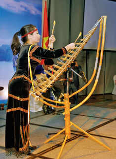 From Vietnam, with love