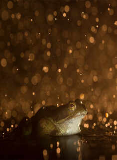 12&ndash;18 years category: Kyle Moore