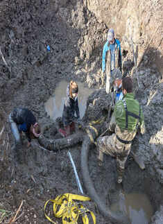 ​A team of paleontologists from th