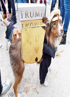 Halloween Dog Parade 2015