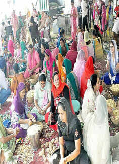 Guru Nanak Jayanti Celebrations