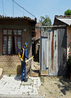 Zika virus: A new global threat