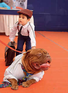 Vintage car & Dog show