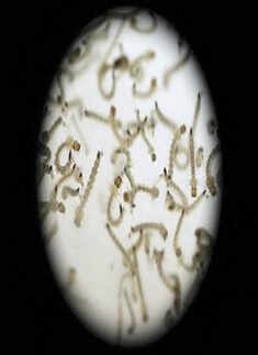 TOP Stories Of The Day - March 22