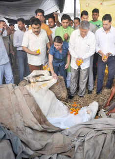 Police horse 'Shaktiman' passes away