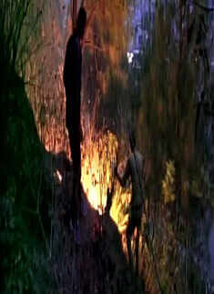 Fire situation under control in Uttarakhand: Rajnath