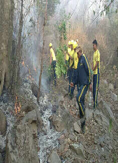 Fire situation under control in Uttarakhand: Rajnath