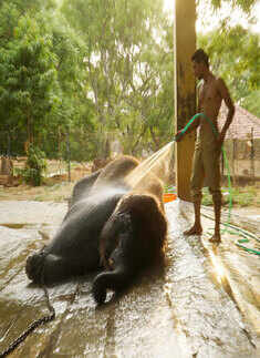 Heat wave scorches the nation