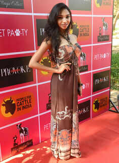 Provoke Pet Party 2016