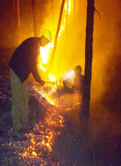 Raging inferno engulfs Uttarakhand forests again