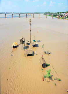 Floods claim several lives in MP, Assam