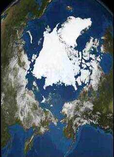 Effects of Global warming