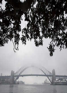 Fog blankets Sydney