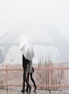 Fog blankets Sydney