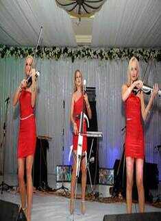 Sushil & Priya's wedding