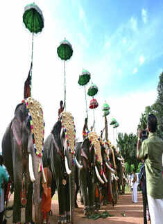 Onam Celebrations