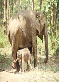 TOP Stories Of The Day &ndash; 24th October