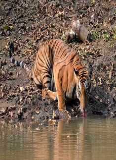 TOP Stories Of The Day &ndash; 7th November