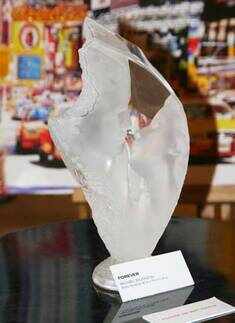 Vikram & Gaurav's exhibition 