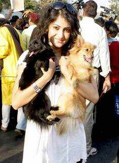 'Karuna' awareness event