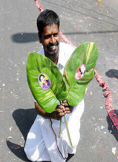 Mysore to Madras: Jayalalithaa earned fans in two states